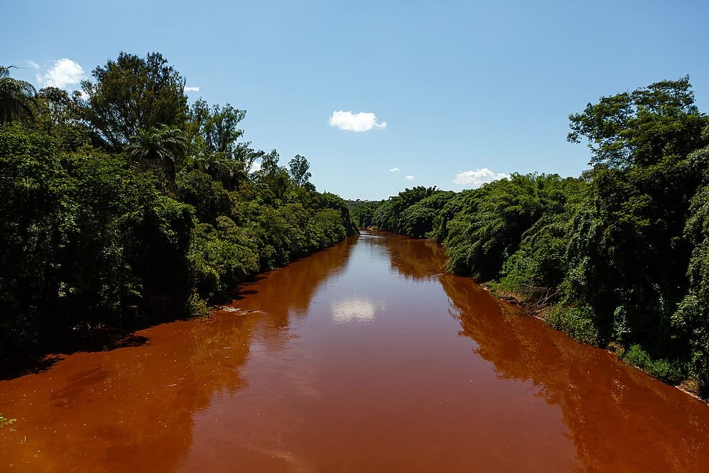 Direitos das pessoas atingidas ao meio ambiente